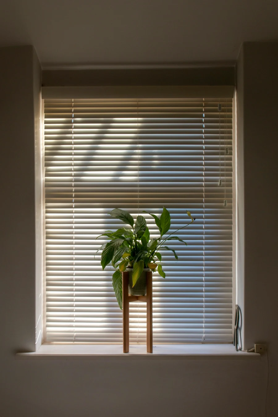 Blinds (2)